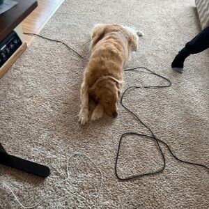 Meet your Posher, Cindal